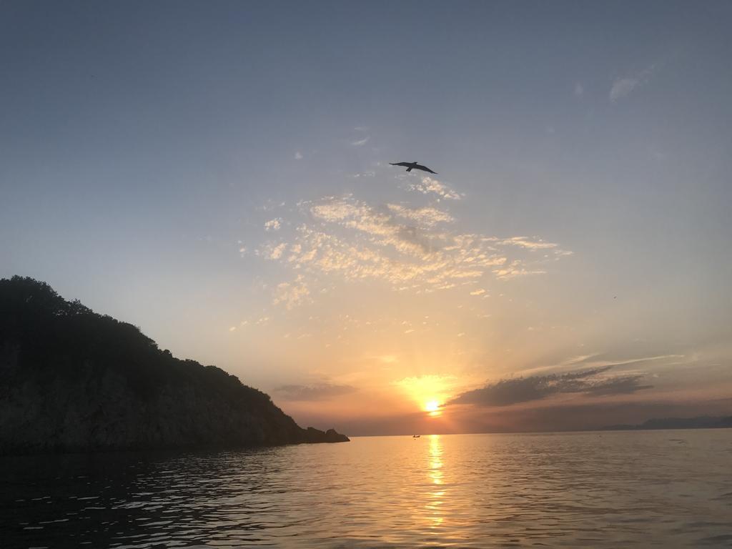 Odore Di Mare אוטייהא
